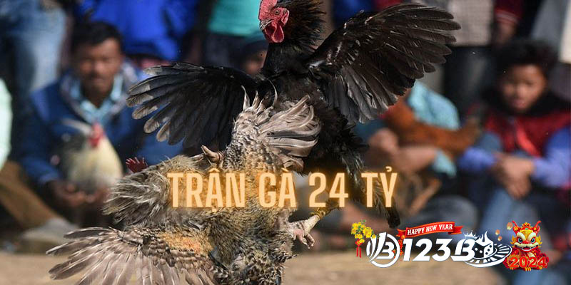 123B Trận gà 24 tỷ - Cơn sốt cháy bỏng của cộng đồng mạng!