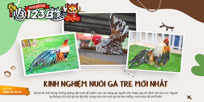 123B Bí quyết nuôi gà tre - Dinh Dưỡng Và Chăm Sóc Đầy Đủ!