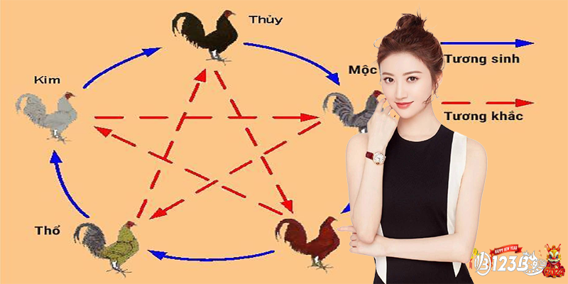 Màu mạng gà đá | Bí mật ẩn sau những sắc màu của chiến kê