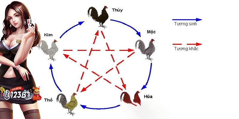 Xem ngày đá gà tốt | Nghi thức quan trọng của các sư kê